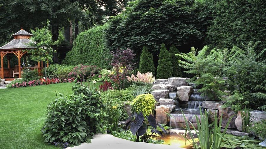 10 Easy Low-Maintenance Landscaping Ideas