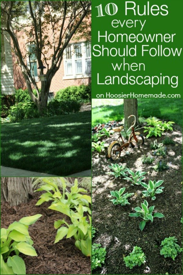 10 Eco-Friendly Landscaping Tips for Homeowners