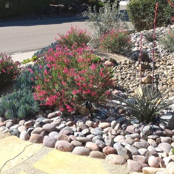 10 Eco-Friendly Landscaping Tips for Homeowners