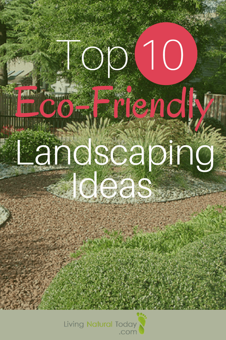 10 Eco-Friendly Landscaping Tips for Homeowners