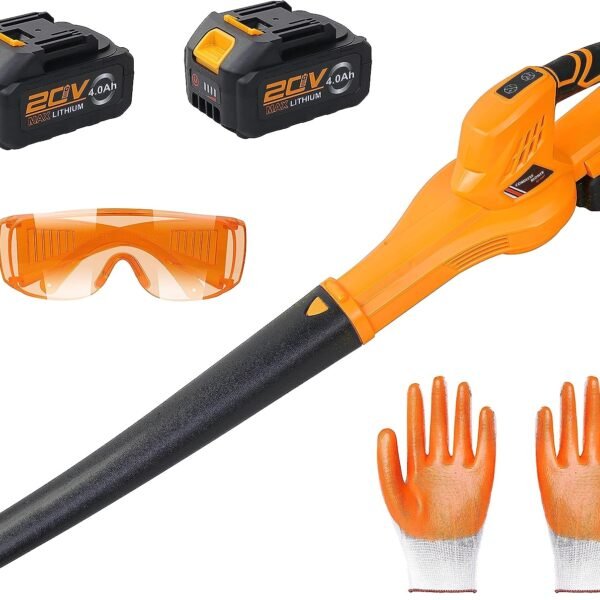 20V Leaf Blower Cordless Review
