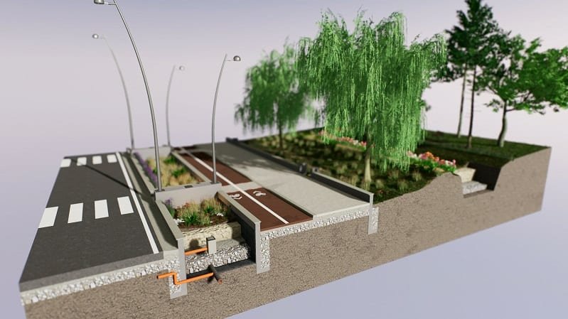 Creating Sustainable Rain Gardens in Urban Environments