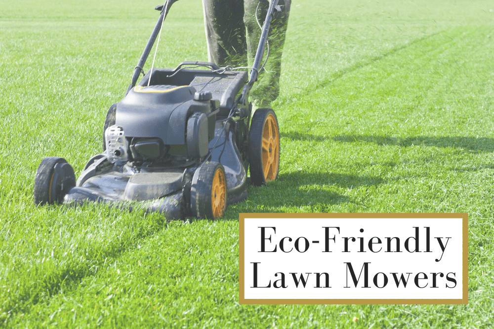 Eco-Friendly Farming with Wind-Powered Lawn Mowers