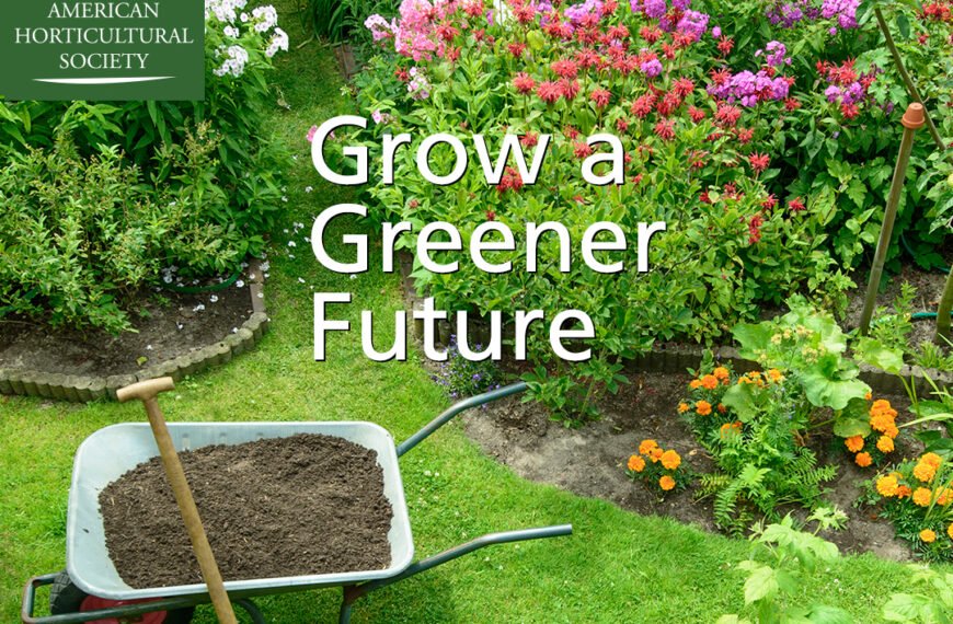 Eco-Friendly Garden Tools for Sustainable School Gardens