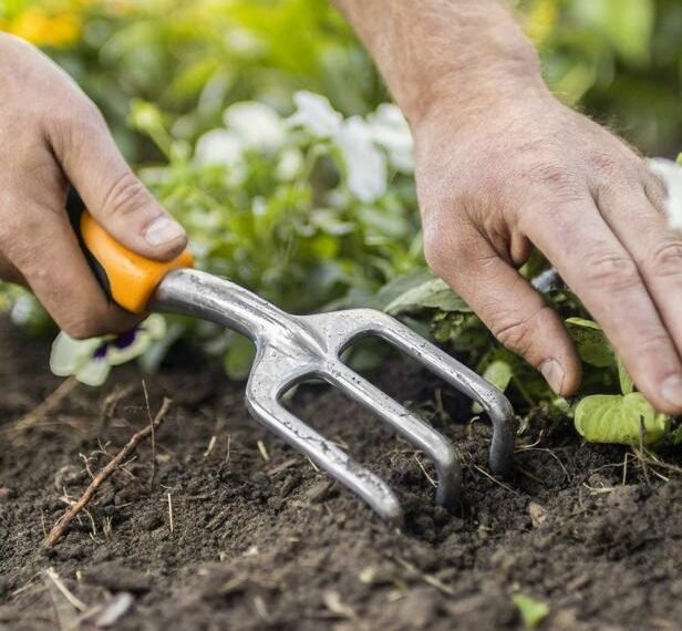 Eco-Friendly Lawn and Garden Tools for DIY Enthusiasts