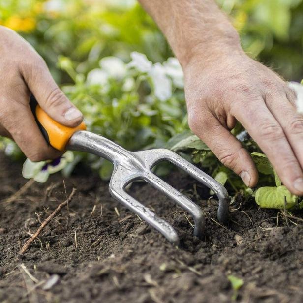 Eco-Friendly Lawn and Garden Tools for DIY Enthusiasts