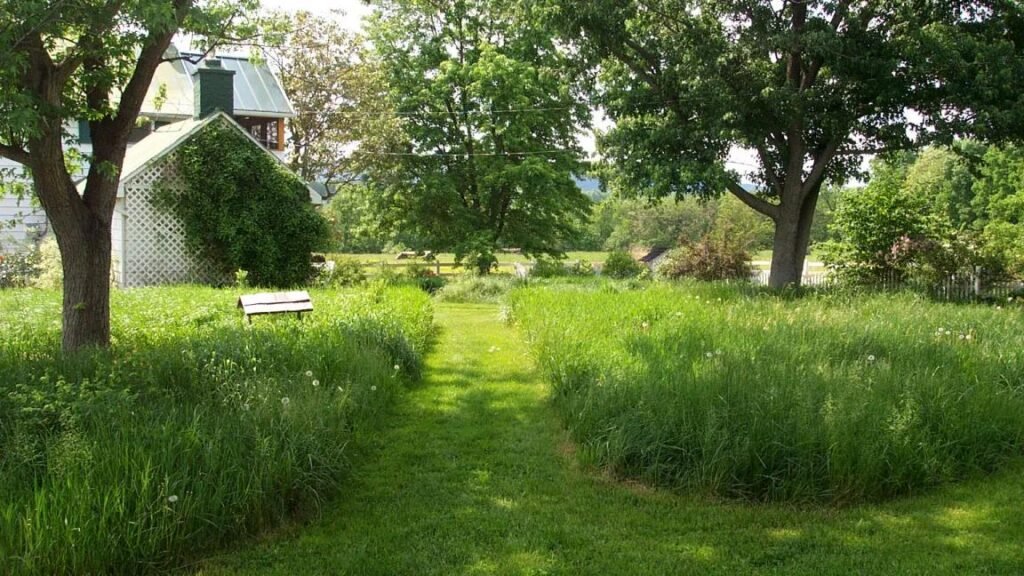 Eco-friendly Lawn Care for Homeowners