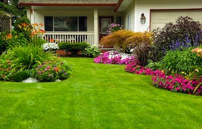 Eco-friendly Lawn Care for Homeowners