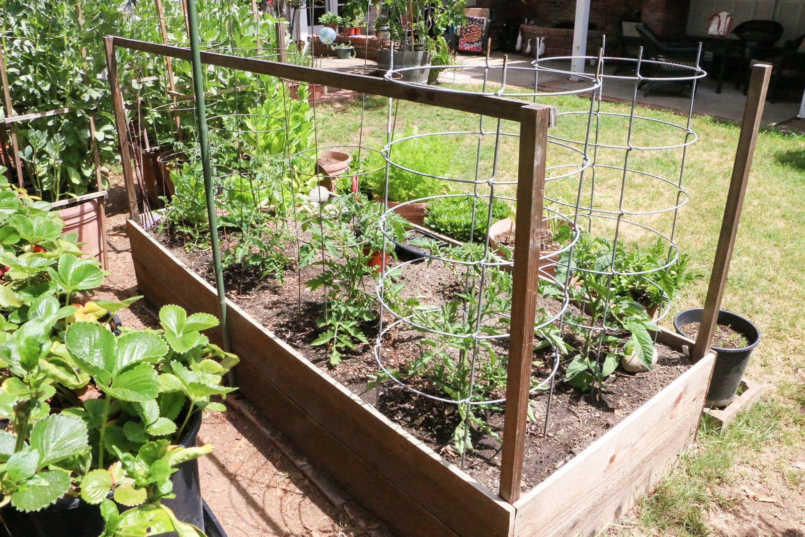 Effortless Eco-Friendly Gardening: Zero Emission Landscaping Tools