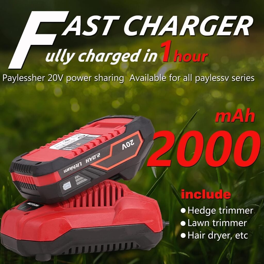 PayLessHere Grass Trimmer Weed Wacke 20V 10in Electric String Trimmer Weed Eater with Battery Charger