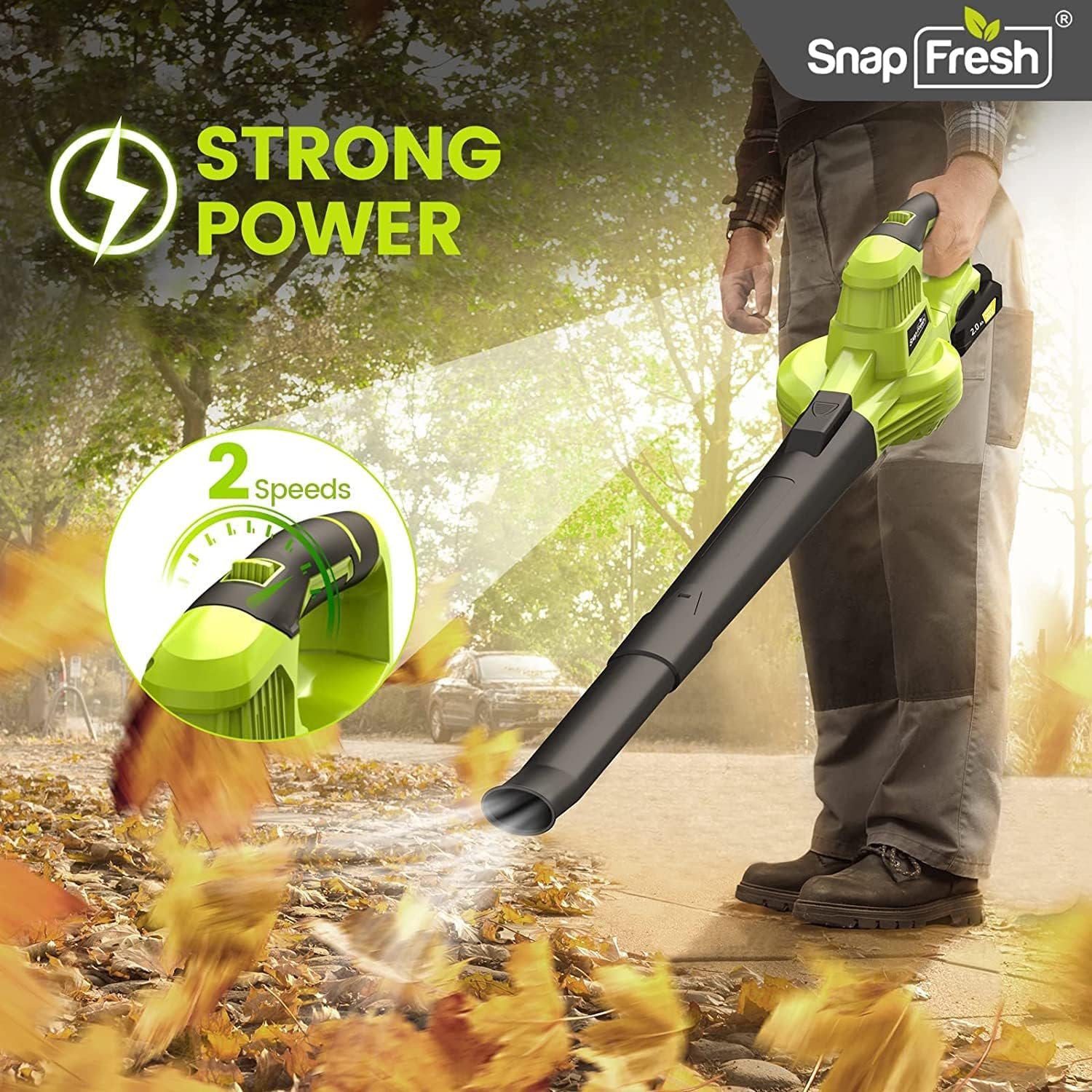 SnapFresh Leaf Blower Review