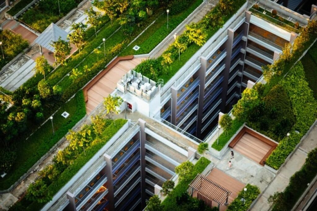 Sustainable Solutions: Green Roofs for Apartment Buildings