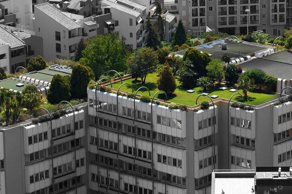 Sustainable Solutions: Green Roofs for Apartment Buildings