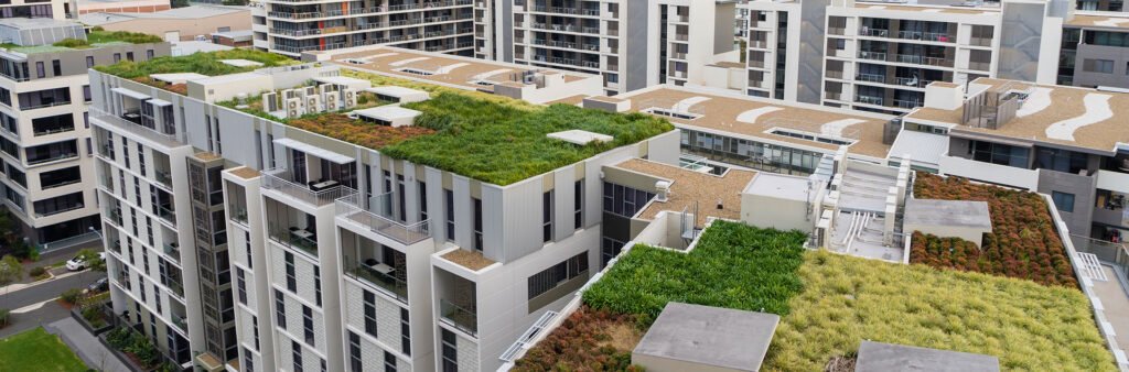 Sustainable Solutions: Green Roofs for Apartment Buildings