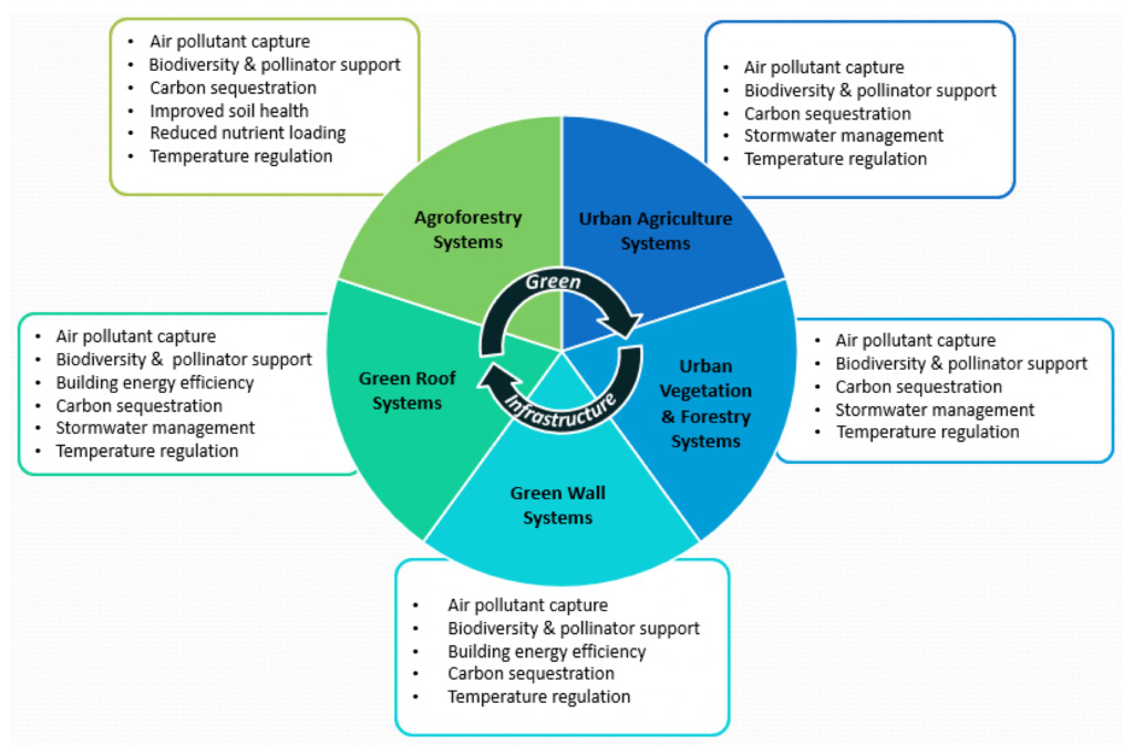 Sustainable Solutions: Zero Emissions Yard Tools for Municipalities