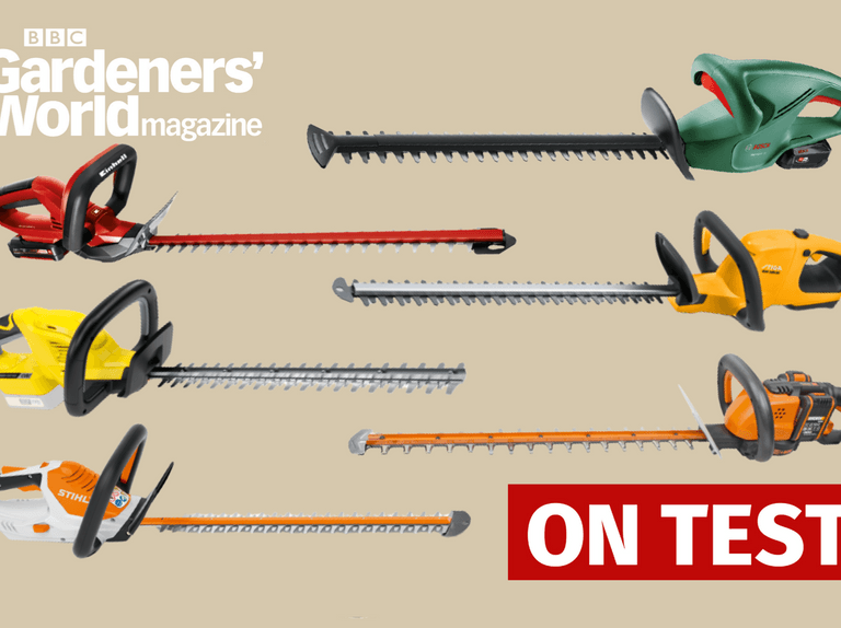 The Best Cordless Hedge Trimmers for DIYers