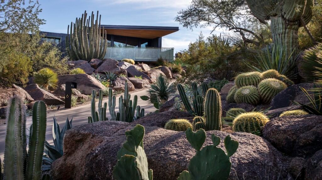 Xeriscaping: Sustainable Landscaping for Hot Climates