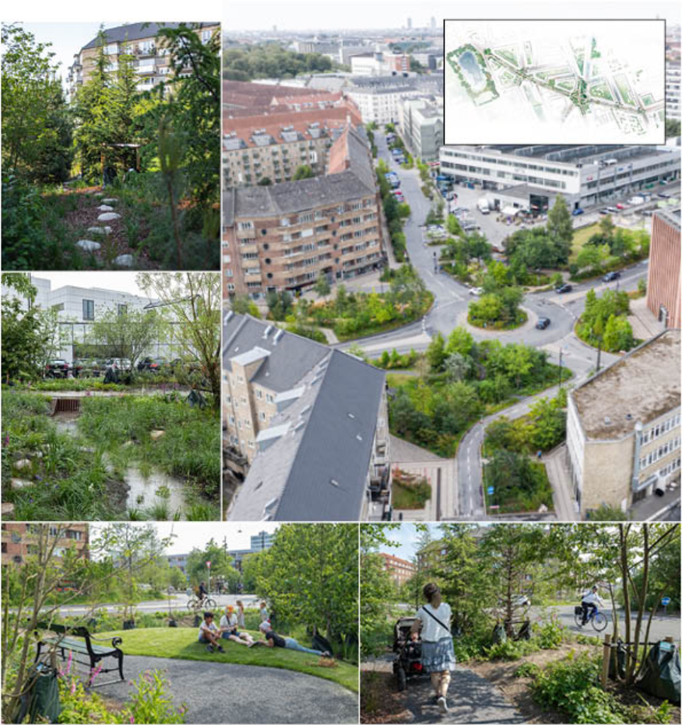 Zero Emission Landscaping: A Sustainable Approach To Greener Spaces