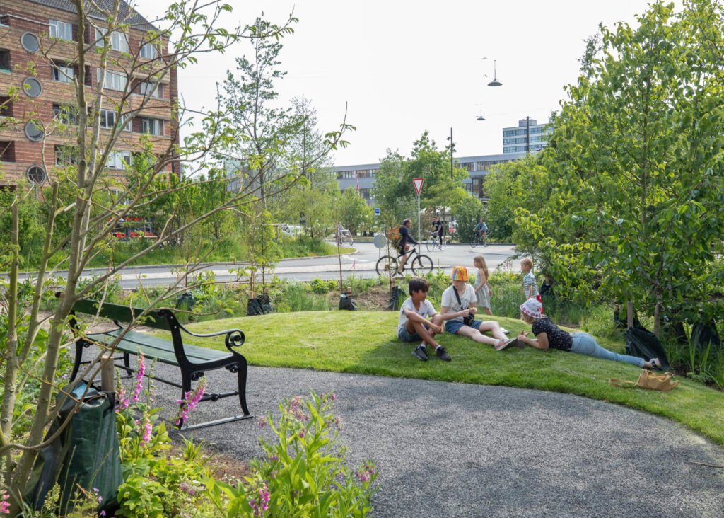 Zero Emission Landscaping: A Sustainable Approach To Greener Spaces