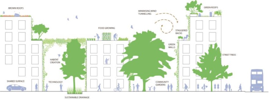 Zero Emission Landscaping: A Sustainable Approach To Greener Spaces