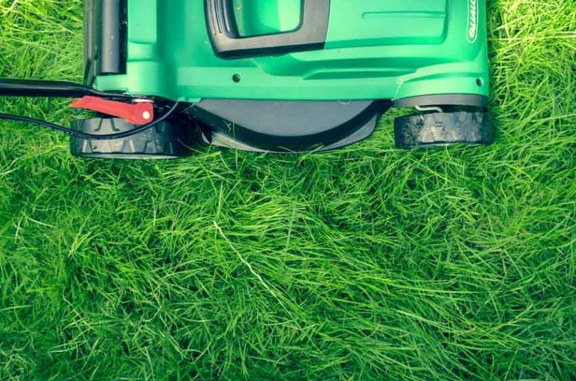 A Complete Guide to Lawn Mower Maintenance