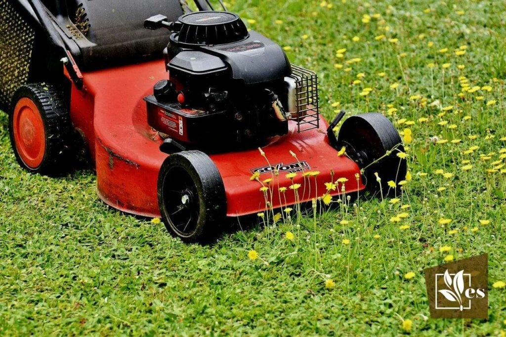 A Comprehensive Guide to Replacing Lawn Mower Batteries