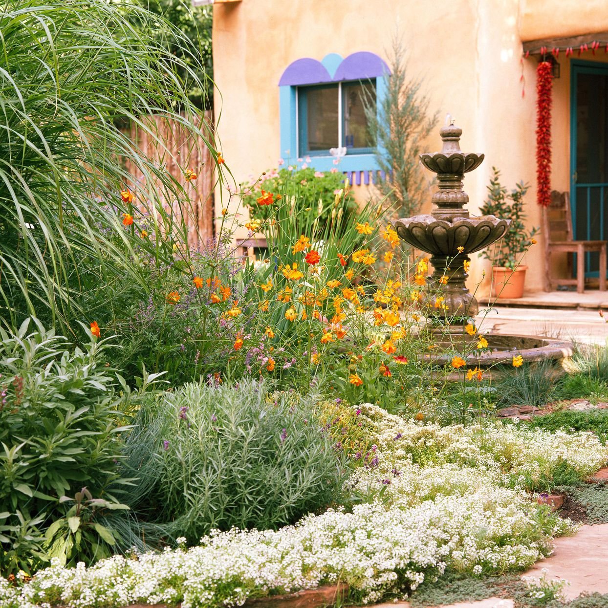 Creating a Drought-Tolerant Landscape for Hot Summers