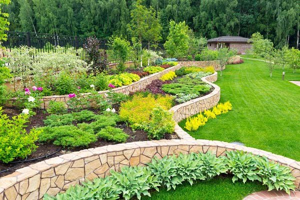 Creating a Drought-Tolerant Landscape for Hot Summers