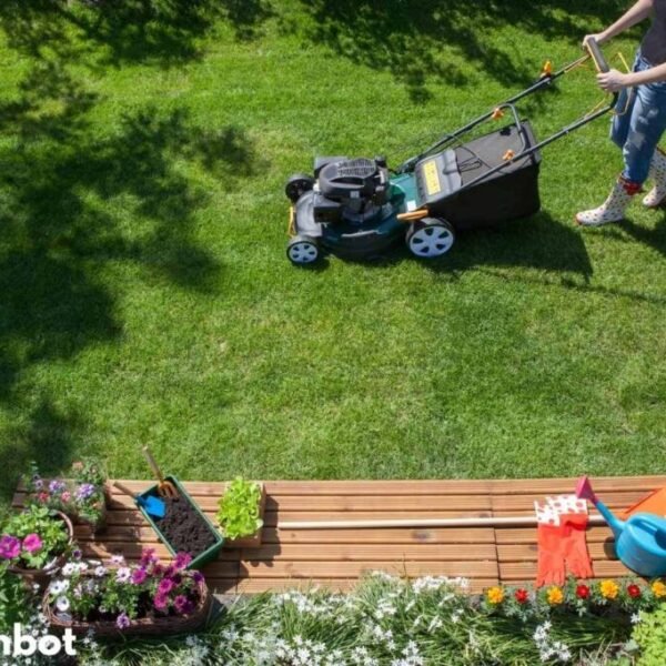 Essential Lawn Mower Maintenance Tasks