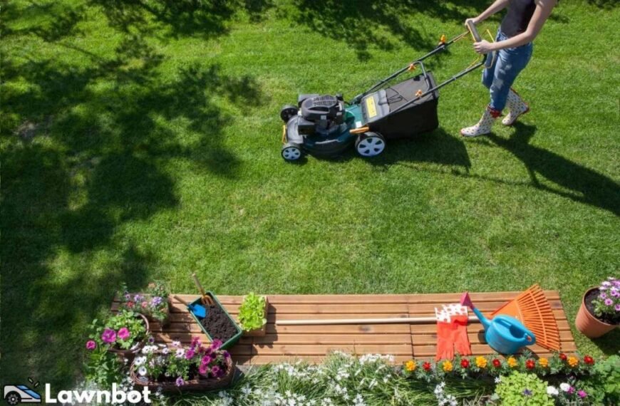 Essential Lawn Mower Maintenance Tasks