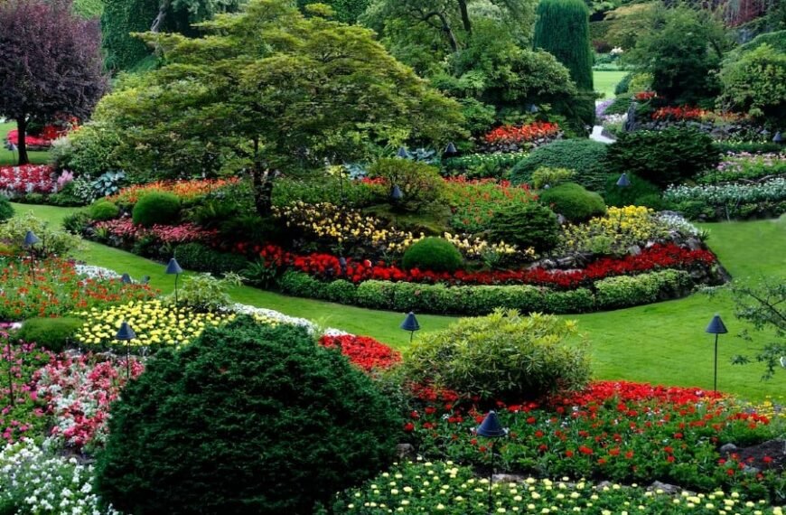 Introduction to Green Landscaping for Beginners