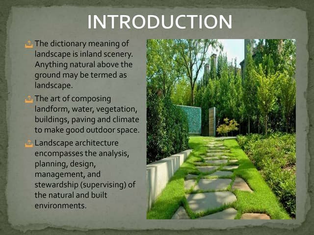 Introduction to Green Landscaping for Beginners