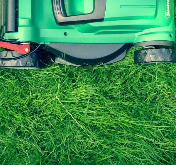 Lawn Mower Safety Tips for Homeowners