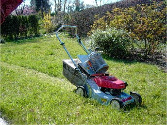 Long-lasting Hydrogen Fuel Cell Lawn Mowers: Revolutionizing Green Gardening