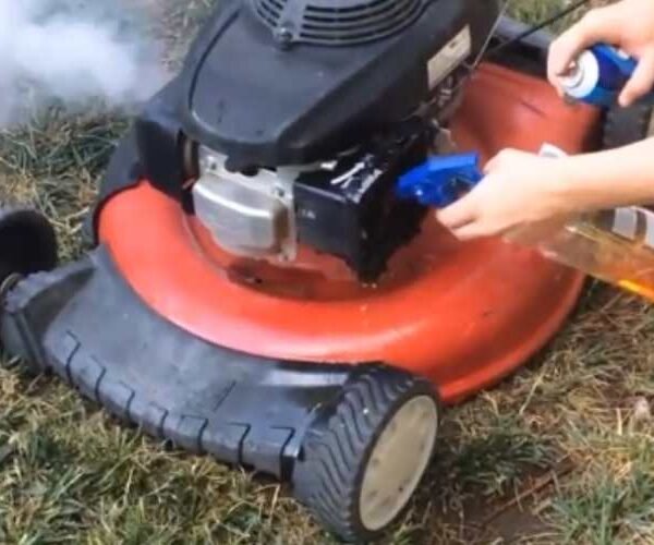 Maximizing Efficiency with a Self-Propelled Lawn Mower