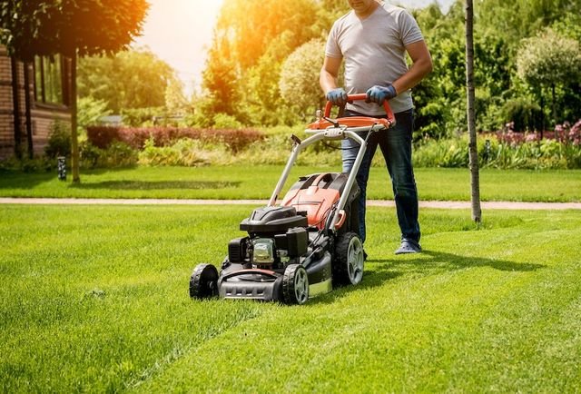 Protecting Pets While Mowing the Lawn