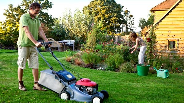 Protecting Pets While Mowing the Lawn