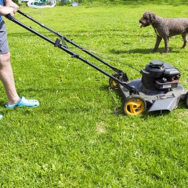 Protecting Pets While Mowing the Lawn