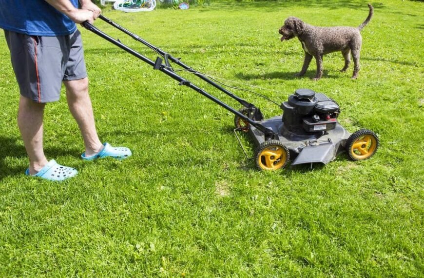 Protecting Pets While Mowing the Lawn
