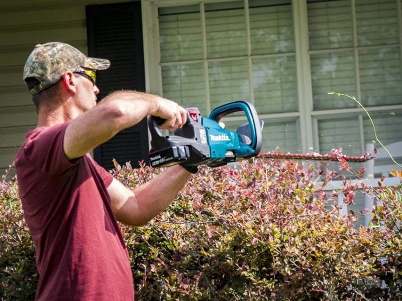 Top 10 Safe Cordless Hedge Trimmers