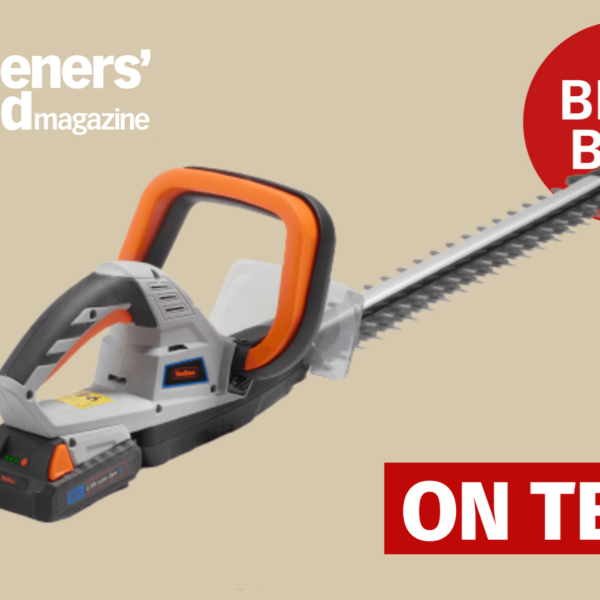 Top 10 Safe Cordless Hedge Trimmers