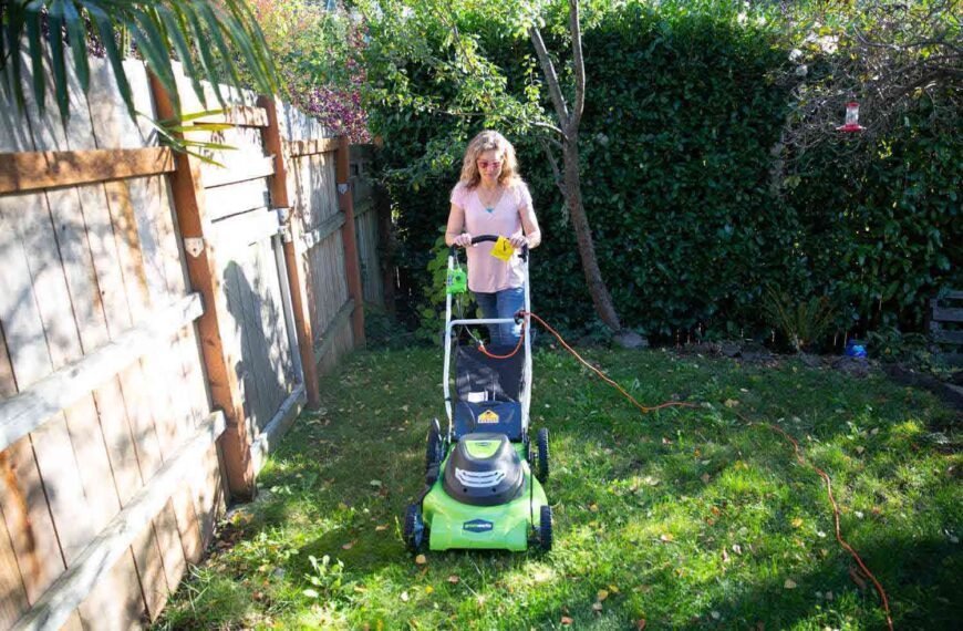 Top Affordable Electric Lawn Mower Picks