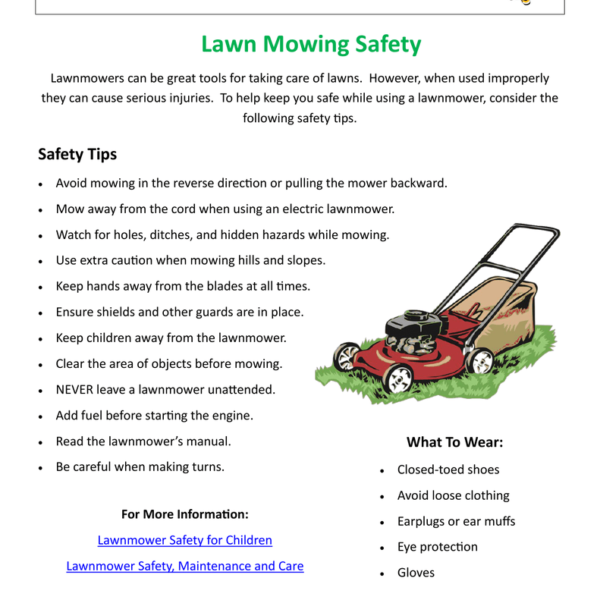 Top Lawn Mower Safety Gear Recommendations